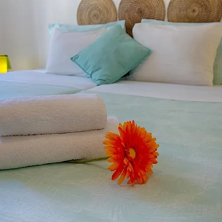 D'avila Bed and Breakfast *