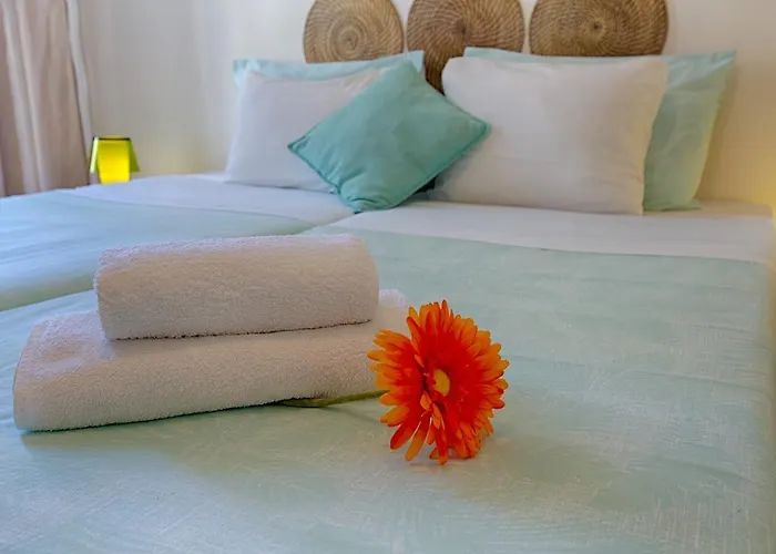 D´ávila Alojamento de Acomodação e Pequeno-almoço 3*